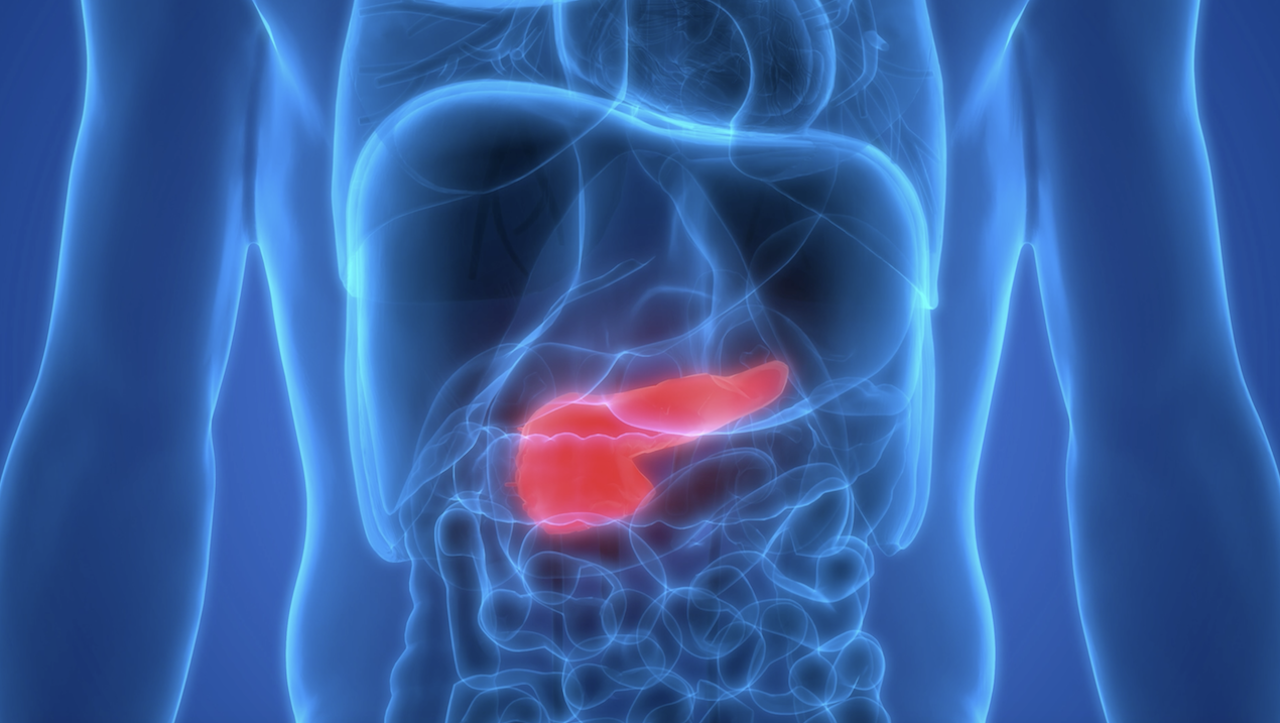 ohio-state-pancreatic-cancer-researchers-are-focused-on-earlier