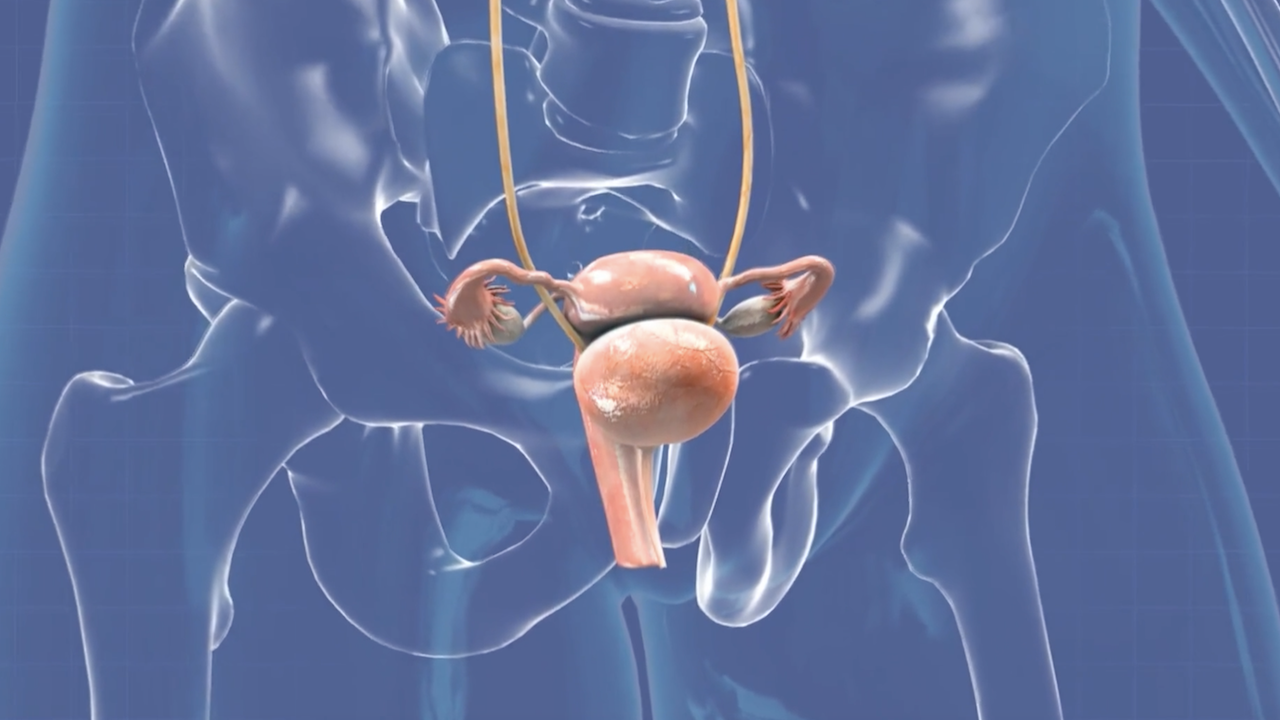 Ohio State genitourinary cancer experts bring cuttingedge care to an